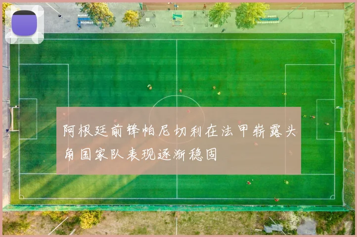 阿根廷前锋帕尼切利在法甲崭露头角国家队表现逐渐稳固