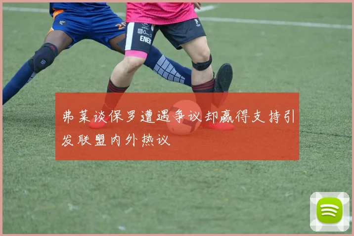 弗莱谈保罗遭遇争议却赢得支持引发联盟内外热议